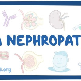 IgA Nephropathy Warriors